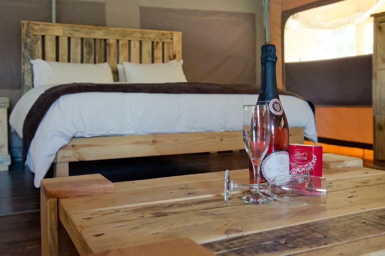 African Game Lodge Монтегю Екстер'єр фото